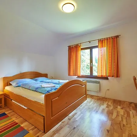 Apartma Pungart *